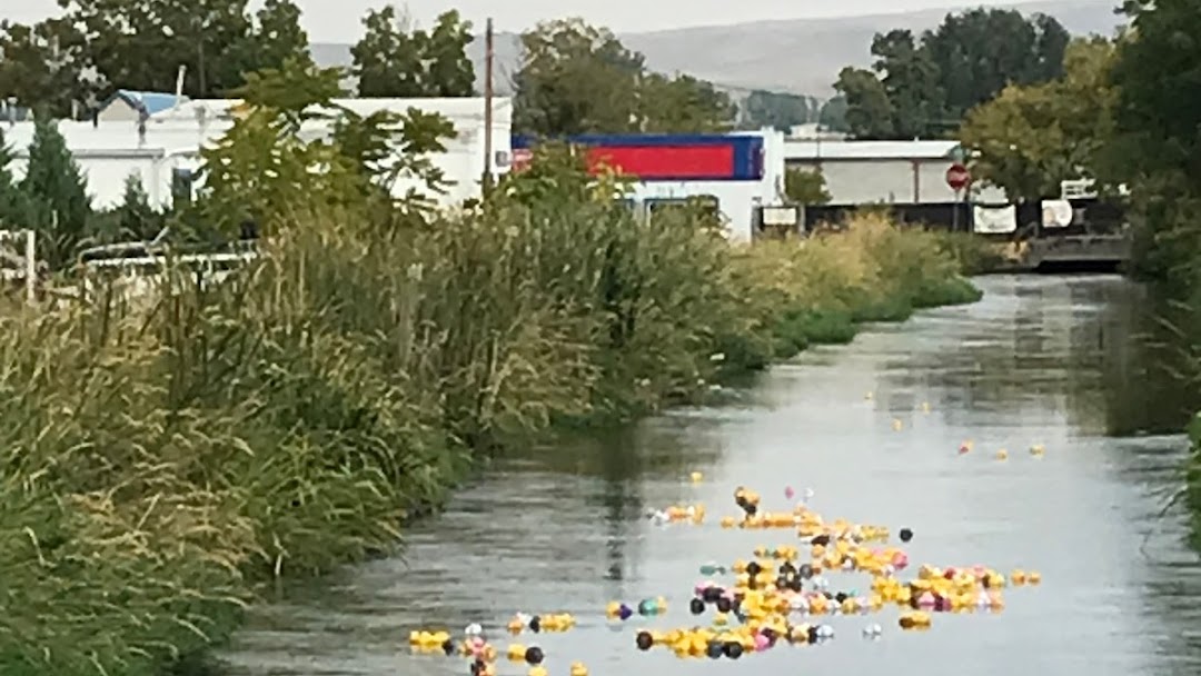 Header image for the site